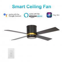 Carro USA VWGS-524G-L12-B2-1FM - Arlington 52-inch Smart Ceiling Fan with wall control, Light Kit Included, Works with Google Assista