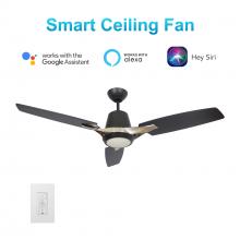 Carro USA VWGS-523F-L12-B2-1 - Eunoia 52-inch Smart Ceiling Fan with wall control, Light Kit Included, Works with Google Assistant,