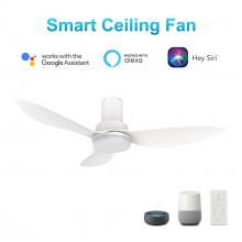 Carro USA VS363V2-L12-W1-1-FM - Ryna 36'' Smart Ceiling Fan with Remote, Light Kit Included?Works with Google Assistant and