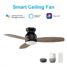 Carro USA VS443Q-L12-BG-1 - Trento 44-inch Smart Ceiling Fan with Remote, Light Kit Included, Works with Google Assistant, Amazo