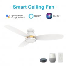 Carro USA VS483Q5-L12-W1-1-FMA - Fremont 48'' Smart Ceiling Fan with Remote, Light Kit Included?Works with Google Assistant a