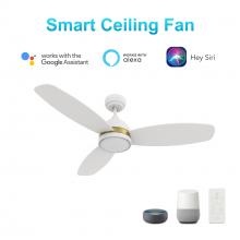 Carro USA VS483Q5-L12-W1-1A - Fremont 48'' Smart Ceiling Fan with Remote, Light Kit Included?Works with Google Assistant a