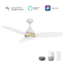 Carro USA VS483Q6-L12-W1-1A - Hobart 48'' Smart Ceiling Fan with Remote, Light Kit Included?Works with Google Assistant an