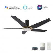 Carro USA VS485B-L22-B2-1G-FM - Woodrow 48-inch Smart Ceiling Fan with Remote, Light Kit Included, Works with Google Assistant, Amaz