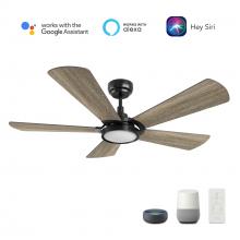  VS525B3-L22-BS-1 - Winston 52-inch Smart Ceiling Fan with Remote, Light Kit Included, Works with Google Assistant, Amaz