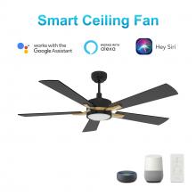  VS525E-L12-B2-1G - Appleton 52-inch Smart Ceiling Fan with Remote, Light Kit Included, Works with Google Assistant, Ama