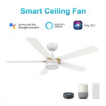 Carro USA VS525E2-L11-W1-1G - Tarrasa 52&#39;&#39; Smart Ceiling Fan with Remote, Light Kit Included?Works with Google Assistant a