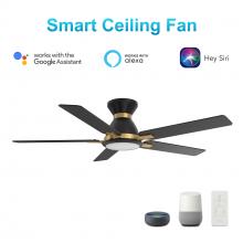 Carro USA VS525J-L12-B2-1G-FM - Espear 52-inch Smart Ceiling Fan with Remote, Light Kit Included, Works with Google Assistant, Amazo