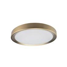  FYN-1224LEDFH-AGB - 24W Flushmount, AGB  w/ WH Diffuser