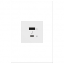  ARUSB2AC6W4 - 2M USB with 2-Type A/C 6A