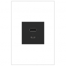  ARUSB2AC6G4 - 2M USB with 2-Type A/C 6A