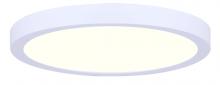  DL-11C-22FC-WH-C - Led Disk Light Integrated Light, White Finish