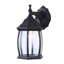  IOL1210 - Outdoor 1 Light Outdoor Lantern, Black Finish