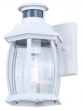  IOL715WH - Buckly Outdoor Light