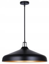  IPL1203A04BKG22 - HOLLAND MBK (PGD inside) Color, 4 Lt 22in Width Rod Pendant