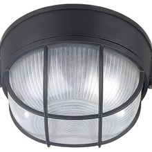 Canarm IOL1710 - Outdoor, 1 Bulb Outdoor Marine Light, Frosted Glass, 60W Type A or B