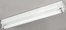  EFT824117 - ES Fluorescent, EFT824117 (FT8241), 24 IN Strip, 1 Bulb, Ceiling/Side Mount, 17W T8, YC322516E-1