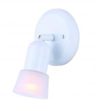  ICW5111 - Omni, Single Head Ceiling/Wall, Frosted Glass, 60W A15 or R16