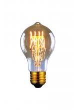  B-A60-23LG - Bulb, Edison Bulbs, 60W E26 -G-, Light Golden Glass, A60 Cone Shape, Dimmable, 2500 hours