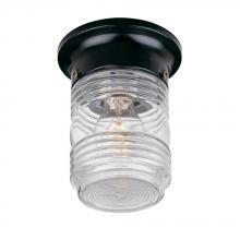 Acclaim Lighting 101BK - Builder&#39;s Choice Collection Ceiling-Mount 1-Light Outdoor Matte Black Light Fixture