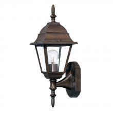 Acclaim Lighting 4001BW - Builder&#39;s Choice Collection Wall-Mount 1-Light Outdoor Burled Walnut Fixture