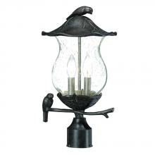 Acclaim Lighting 7567BC/SD - Avian Collection Post-Mount 2-Light Outdoor Black Coral Light Fixture