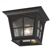  320389BK - 1-Light Outdoor Flush Mount Ceiling Lantern - Black with Clear Water Glass