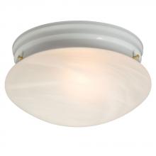Galaxy Lighting 810310WH 2PL13 - Utility Flush Mount Ceiling Light - in White finish with Marbled Glass