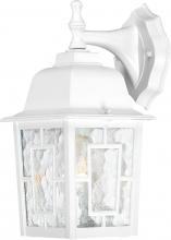 Nuvo 60/3484 - Banyan - 1 Light - 12&#34; Outdoor Wall with Clear Water Glass; Color retail packaging