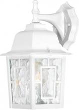 Nuvo 60/4921 - Banyan - 1 Light 12&#34; Wall Lantern with Clear Water Glass - White Finish