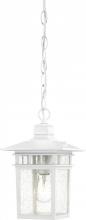 Nuvo 60/4954 - Cove Neck - 1 Light 12&#34; Hanging Lantern with Clear Seed Glass - White Finish