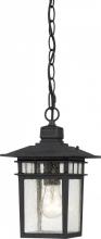 Nuvo 60/4956 - Cove Neck - 1 Light 12&#34; Hanging Lantern with Clear Seed Glass - Textured Black Finish