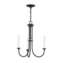  CN340326 - Thomas - Meadowview 18'' Wide 3-Light Chandelier - Matte Black